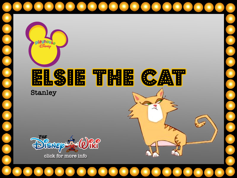 ELSIE THE CAT | HyndenWalch.com